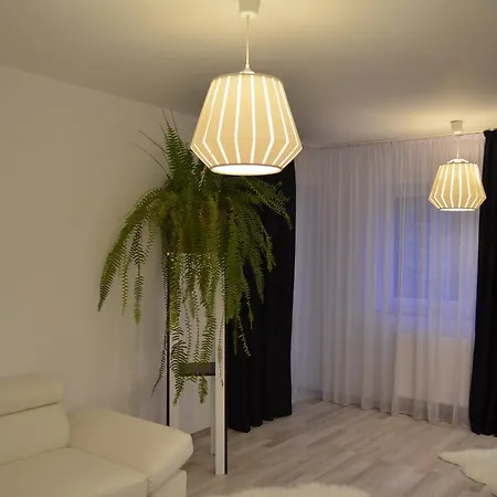 Апартаменти Apartament Andreea Брашов