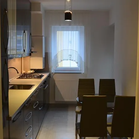 Apartament Andreea *