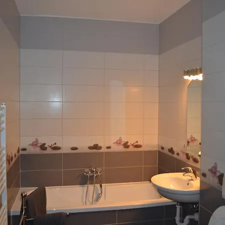 Apartament Andreea