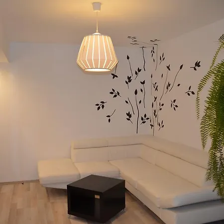Apartament Andreea * Брашов