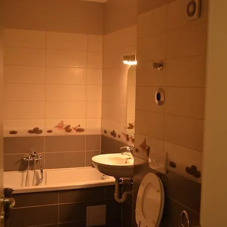 Apartament Andreea *